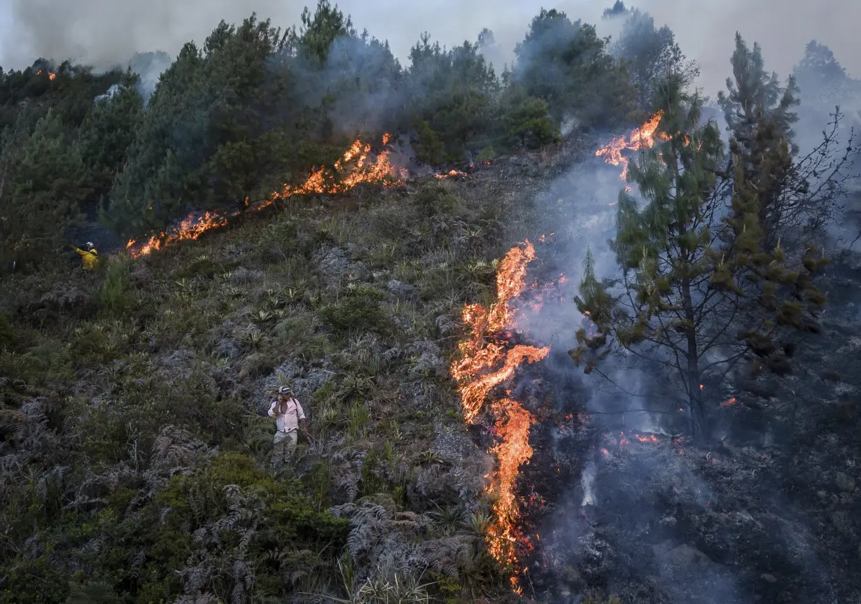 How climate change contributes to wildfires like Chile's