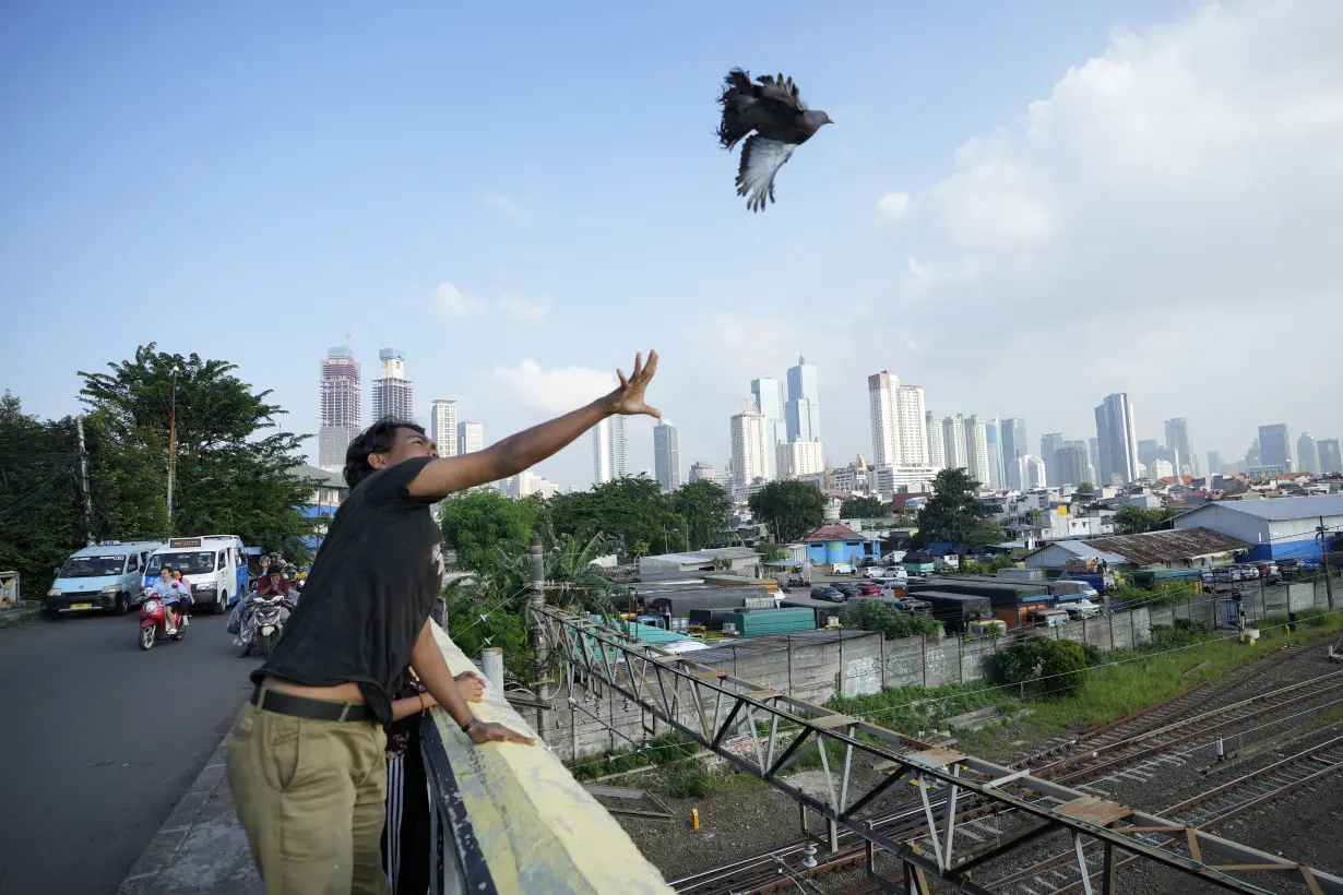 Indonesia Election Explainer