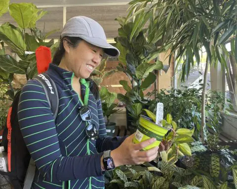 Gardening bloomed during the pandemic. Garden centers hope would-be green thumbs stay interested