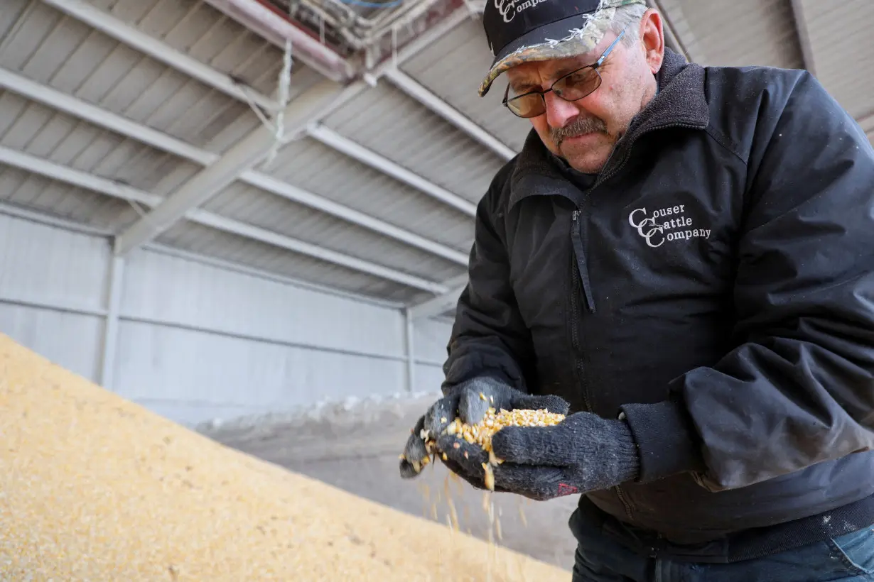 FILE PHOTO: Bill Couser, a cattle and grain farmer, inspects corn used as feed for his cows on his farm, in Nevada, Iowa