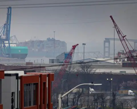 Baltimore port closure could dent US coal export volumes, EIA says