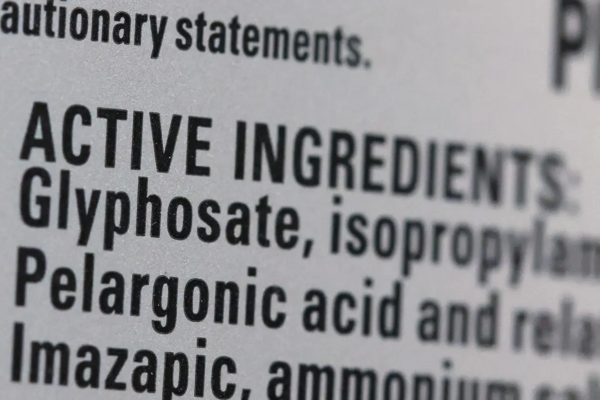 FILE PHOTO: Roundup's list of ingredients, including Glyphosate, is seen on a bottle set for sale in a store in Manhattan, New York City
