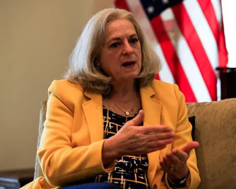 Exclusive-Islamic State still a threat in Iraq, US ambassador says