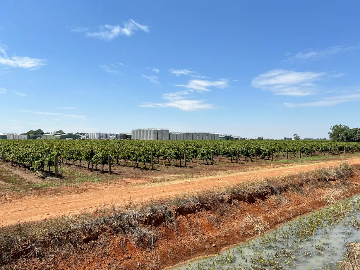 Wine storage tanks stand behind rows of grape vines near the town of Griffith