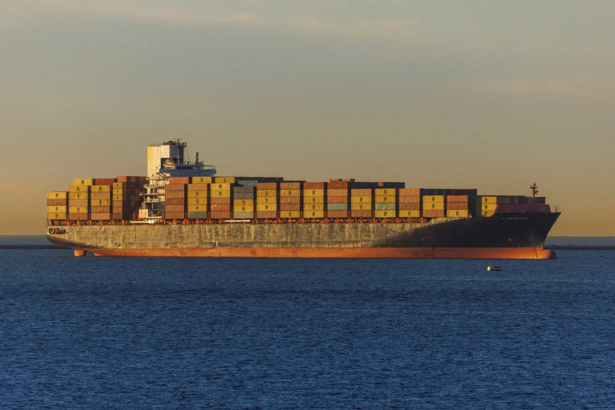 FILE PHOTO: A container ship is shown offshore at the Port of Long Beach, California