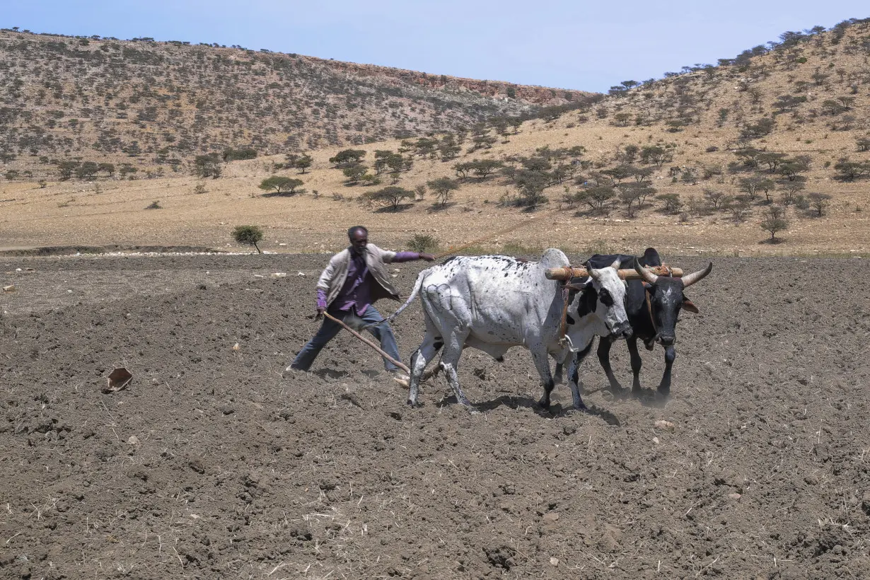 Ethiopia's Tigray region is now peaceful, but extreme hunger afflicts its children