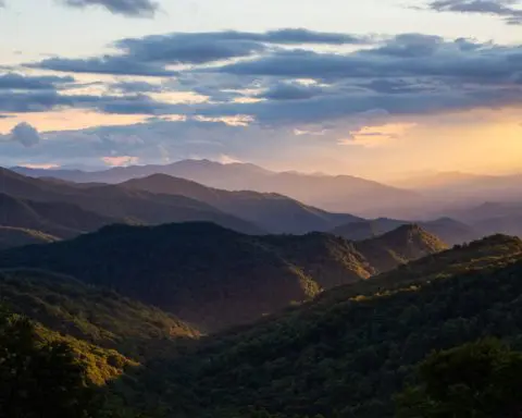 National parks teach students about environmental issues in this course