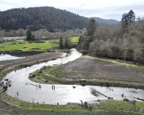 California tribe that lost 90% of land during Gold Rush to get site to serve as gateway to redwoods