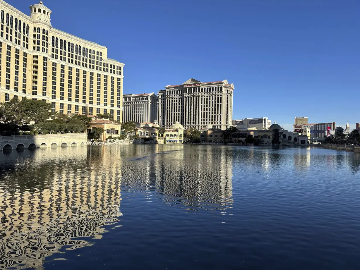 Las Vegas' Bellagio pauses fountain show when rare bird visits