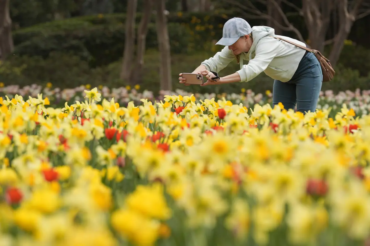 Much of America asks: Where did winter go? Spring starts early as US winter was warmest on record