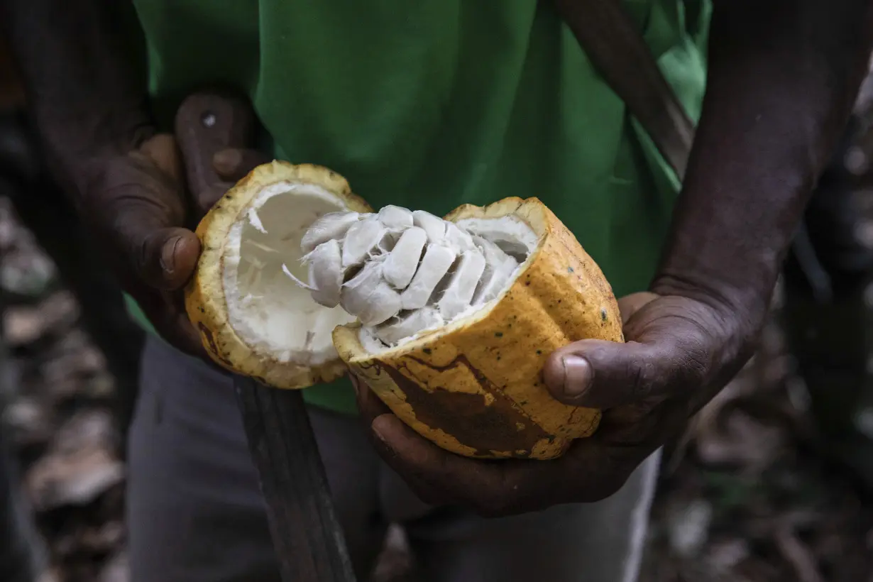 It's a bittersweet Easter for chocolate lovers and African cocoa farmers but big brands see profits