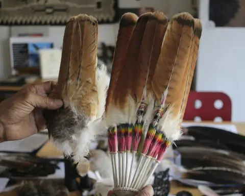 Man to plead guilty in eagle ‘killing spree’ on reservation to sell feathers on black market