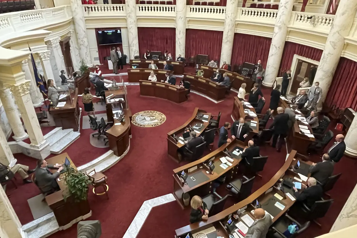 Idaho Legislature Gender Affirming Care