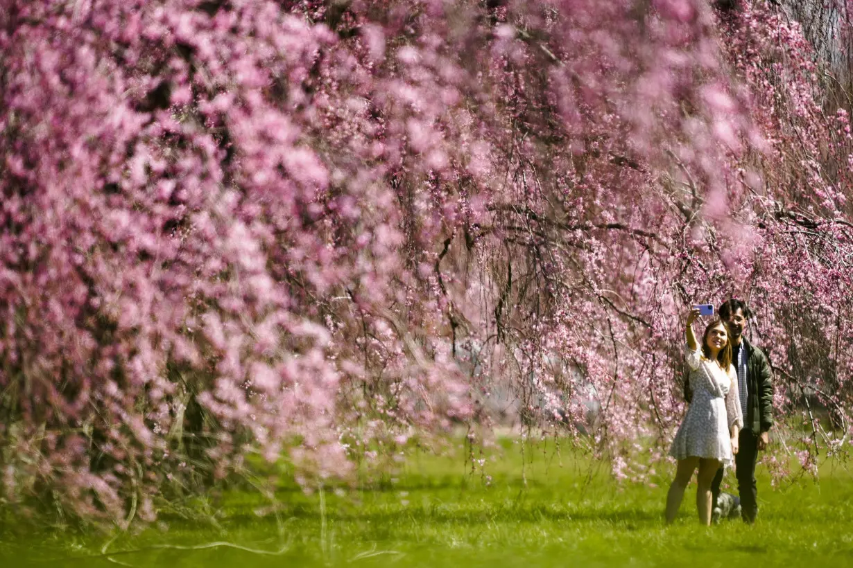 Climate Spring Outlook