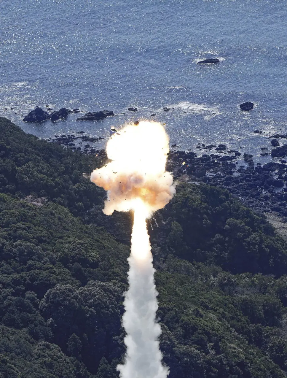 Japan's first private-sector rocket launch attempt has exploded shortly after takeoff