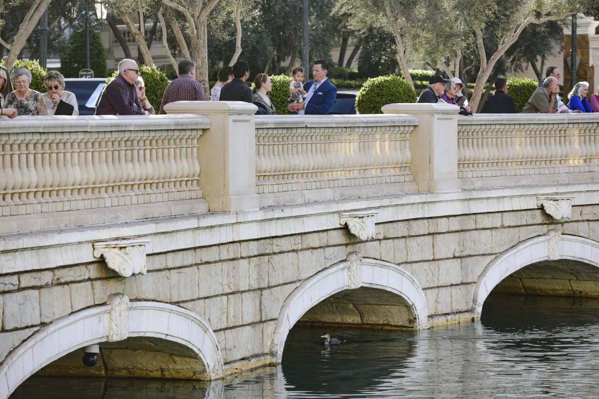 Las Vegas' Bellagio pauses fountain show when rare bird visits