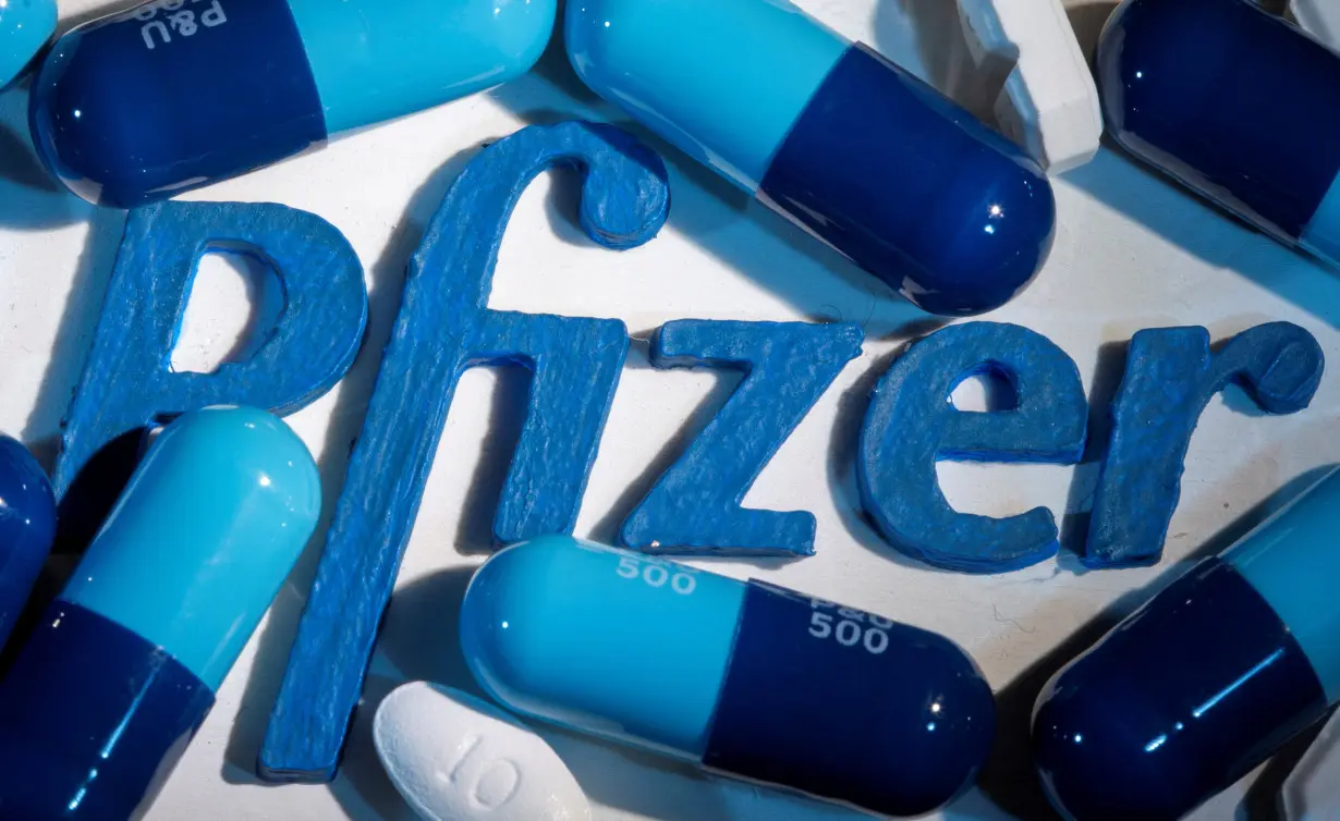 FILE PHOTO: A 3D printed Pfizer logo is placed near medicines from the same manufacturer in this illustration