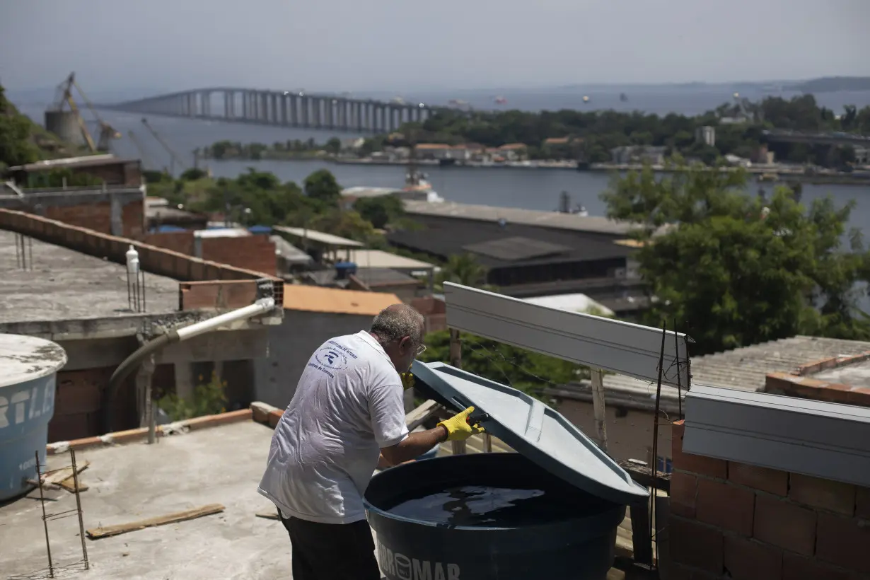 Brazil Dengue