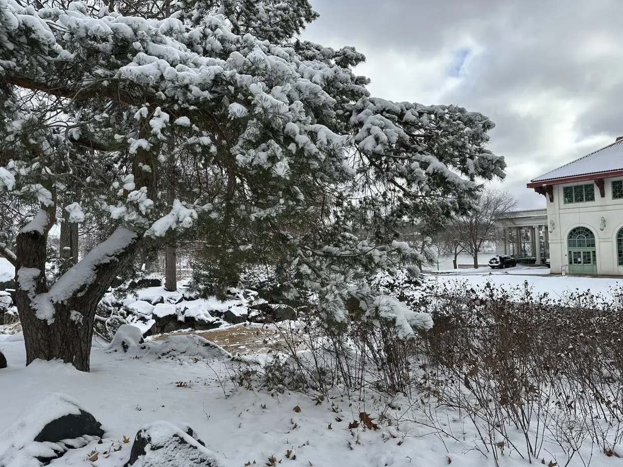 Wintry Weather Minnesota