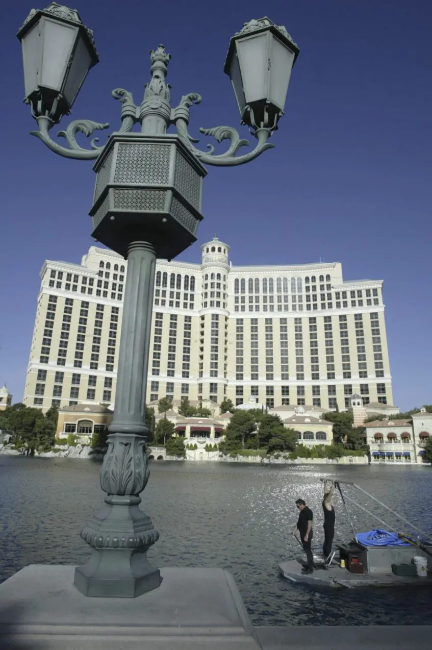 Las Vegas' Bellagio pauses fountain show when rare bird visits