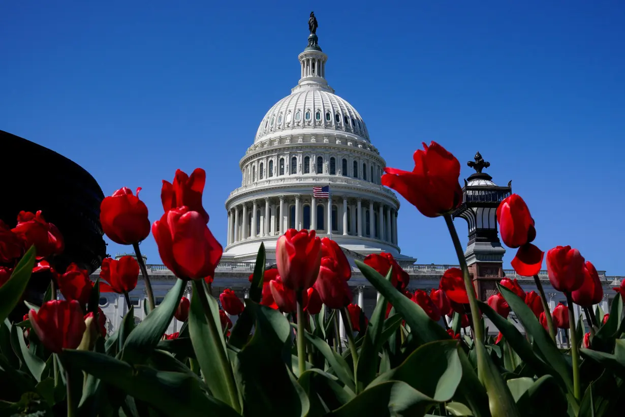 A view of the U.S. Capitol dome in Washington