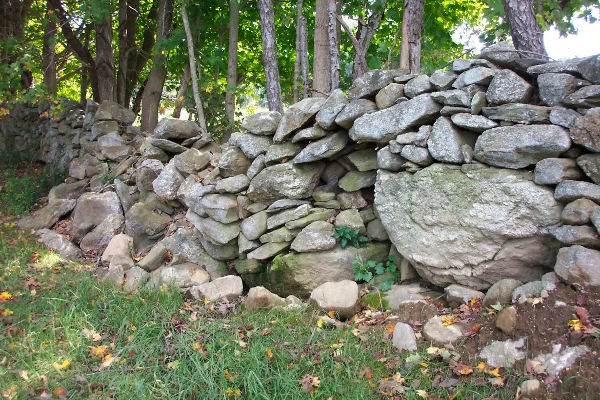 New England stone walls lie at the intersection of history, archaeology, ecology and geoscience, and deserve a science of their own