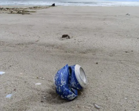 Voodoo doll, whoopie cushion, denture powder among bizarre trash plucked from New Jersey beaches
