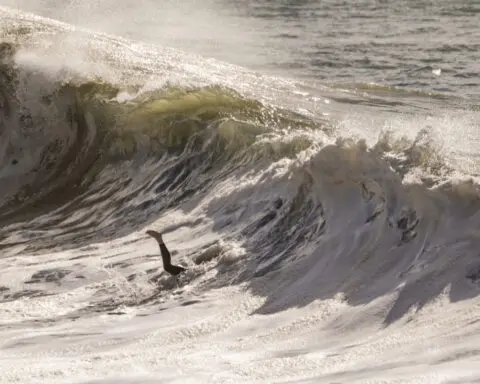 High surf advisories remain in some parts of California, as ocean conditions begin to calm