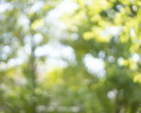 Nearsightedness is at epidemic levels – and the problem begins in childhood