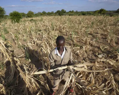 Zimbabwe declares drought disaster, the latest in a region where El Nino has left millions hungry
