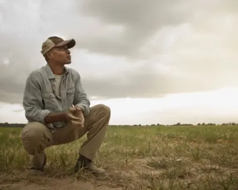 Against all odds: 5 harrowing natural disaster survival stories