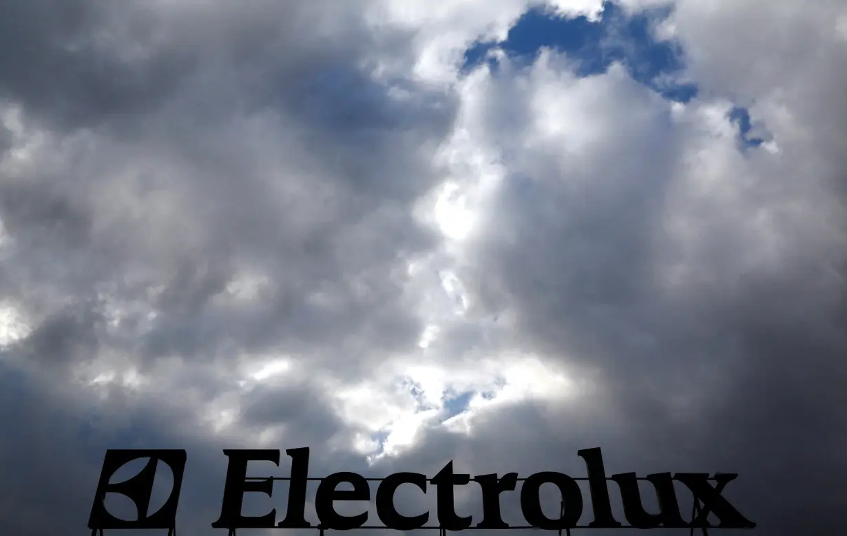 FILE PHOTO: FILE PHOTO: An Electrolux logo is seen at a factory in Porcia, northern Italy