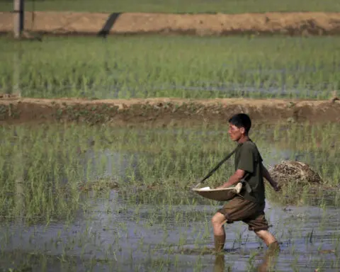 Asia lags behind pre-pandemic levels of food security, UN food agency says