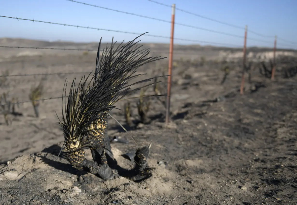 Texas Wildfires