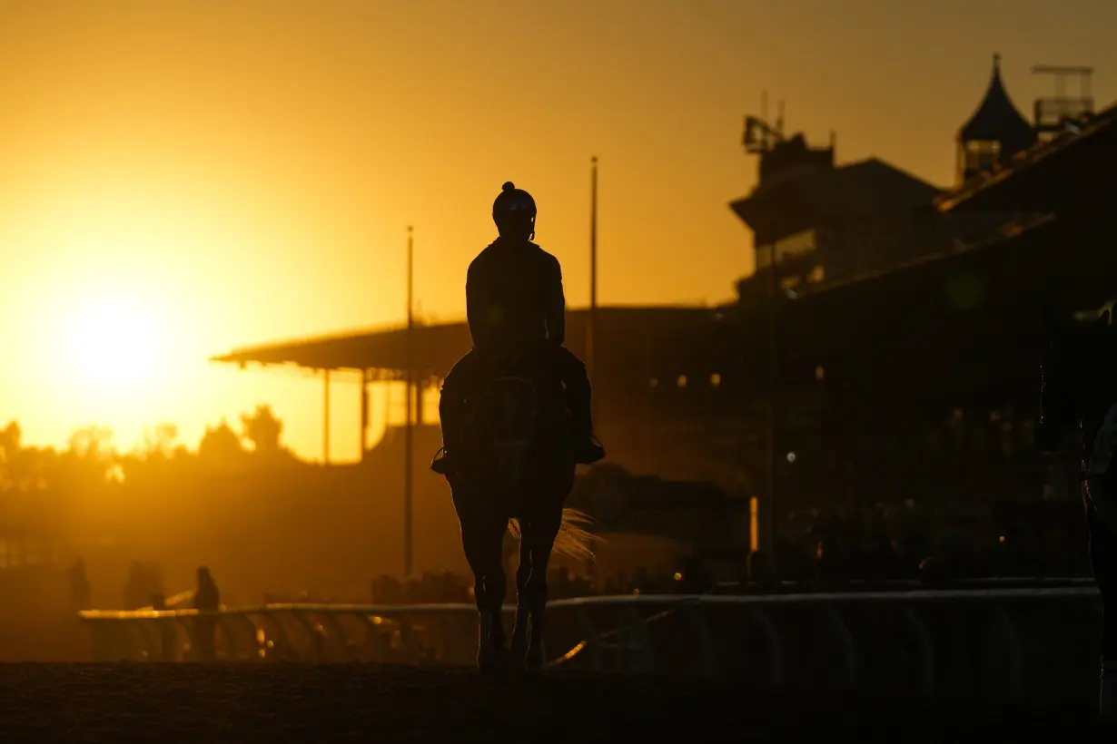 Breeders Cup Horse Racing