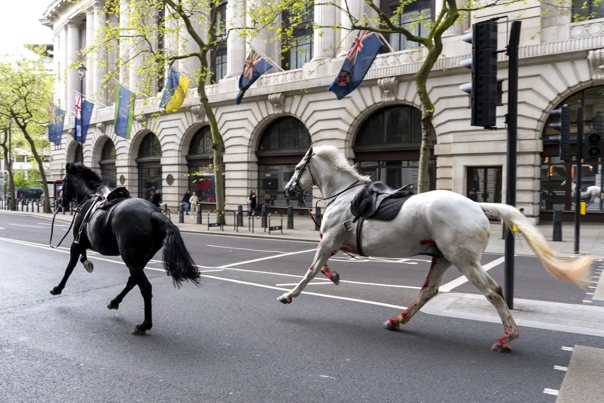 APTOPIX Britain Horses