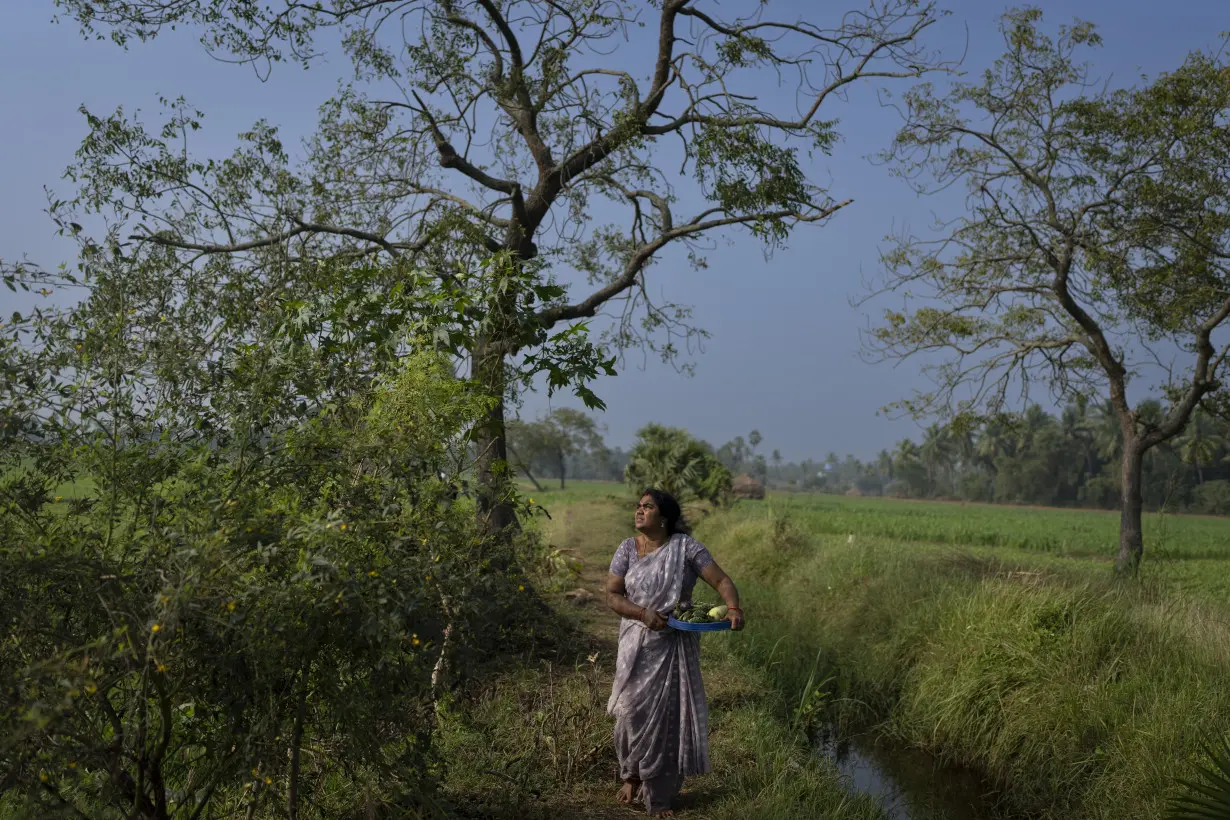 Climate Resilient Farming