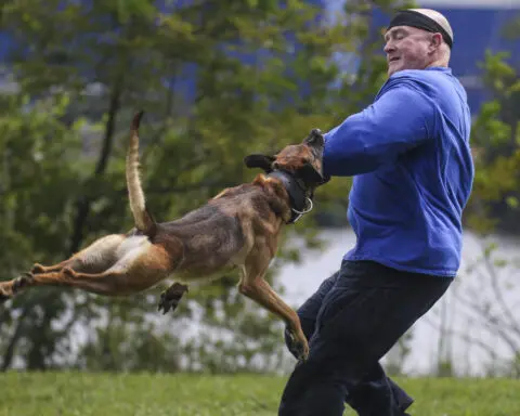 Kansas lawmakers look to increase penalties for harming police dogs