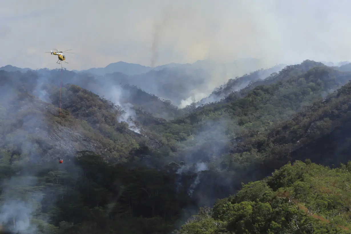 There's another wildfire burning in Hawaii. This one is destroying irreplaceable rainforest on Oahu