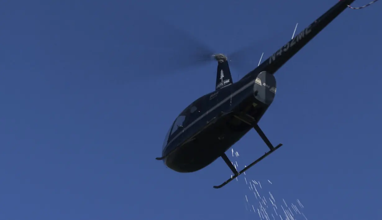 Children race to collect marshmallows dropped from a helicopter at a Detroit-area park