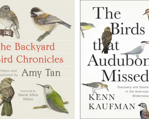 Book Review: Novelist Amy Tan shares love of the natural world in 'The Backyard Bird Chronicles'
