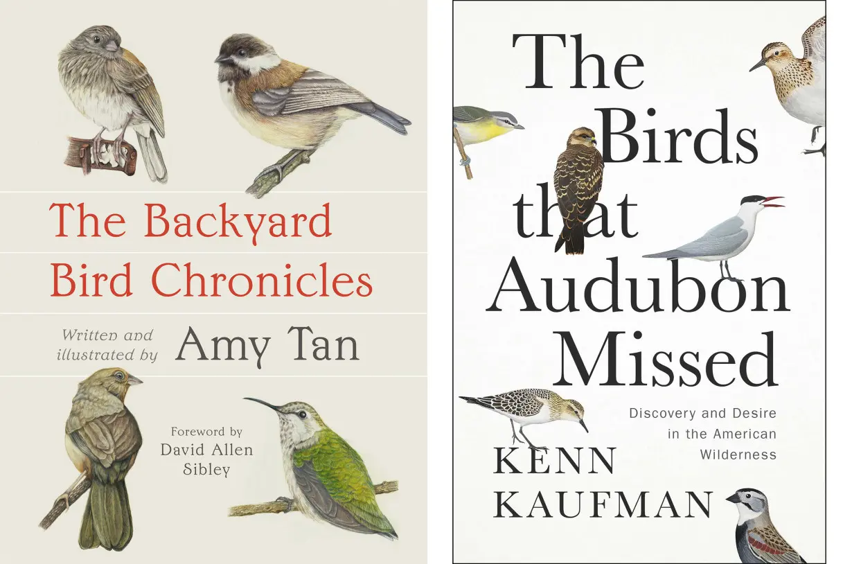 LA Post: Book Review: Novelist Amy Tan shares love of the natural world in 'The Backyard Bird Chronicles'