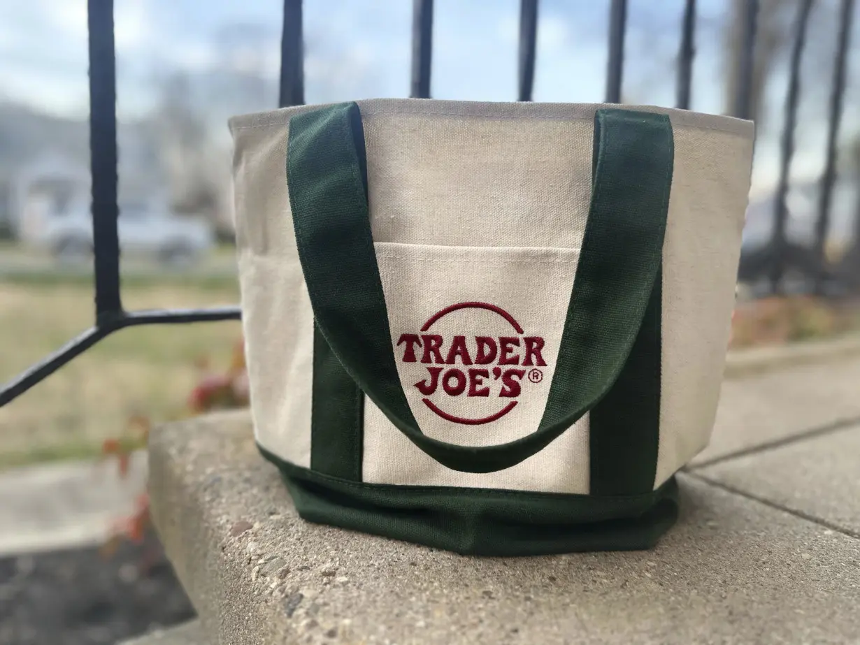 Trader Joes Mini Tote