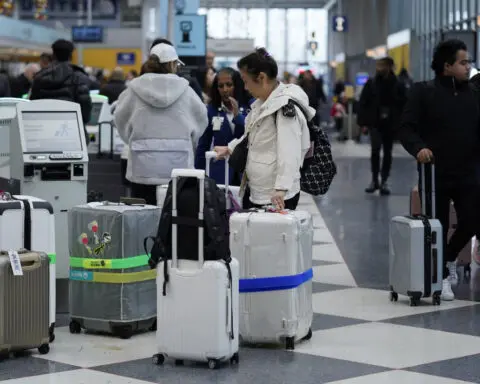 Record Thanksgiving travel rush off to a smooth start despite snowy forecast