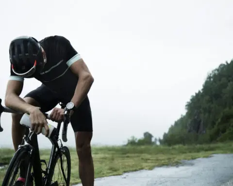 What is metabolism? A biochemist explains how different people convert energy differently − and why that matters for your health