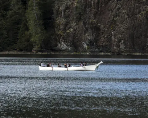 First attempt to catch orphaned orca calf in Canadian lagoon is unsuccessful