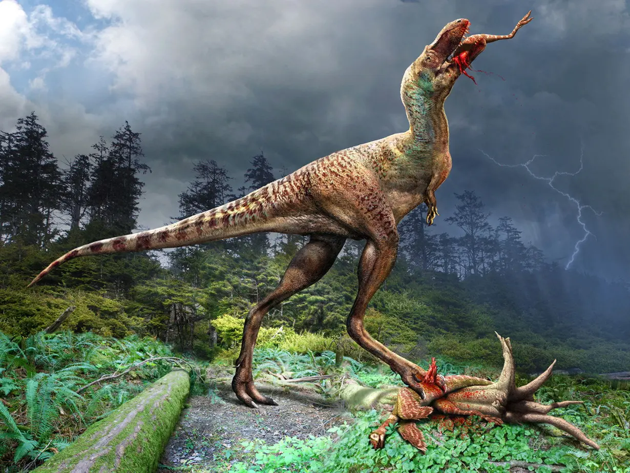 Fossils show dismembered young dinosaurs in belly of T. rex cousin