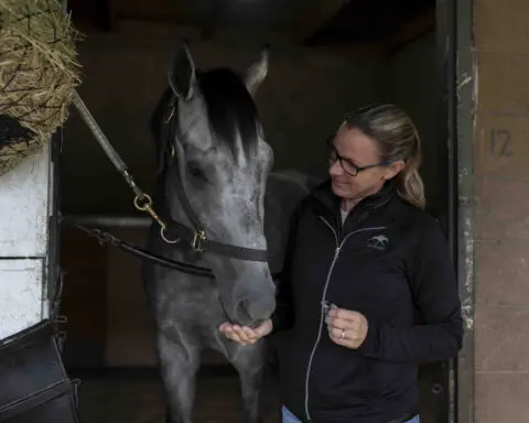 Breeders' Cup contender Practical Move dies after a gallop at Santa Anita. Arcangelo out of Classic