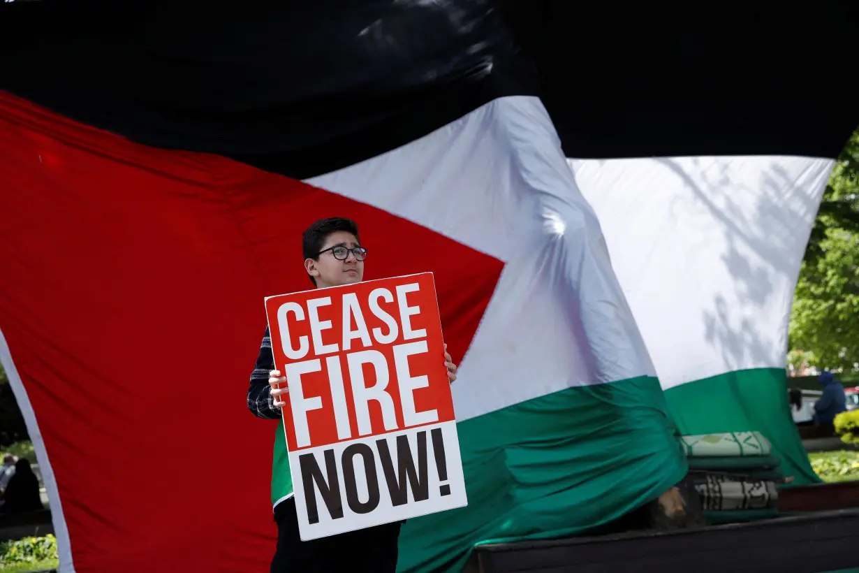 Pro-Palestinian demonstration in Istanbul