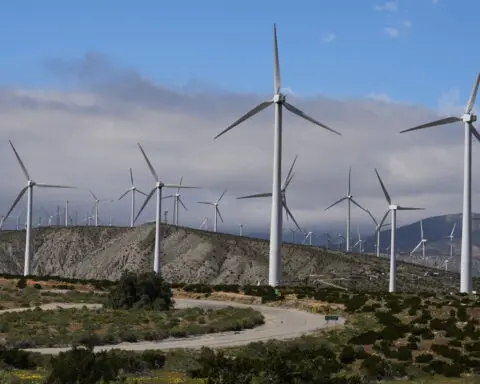 2023 was a record year for wind installations as world ramps up clean energy, report says